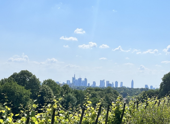 Blick vom Lohrberg auf die Skyline von Frankfurt