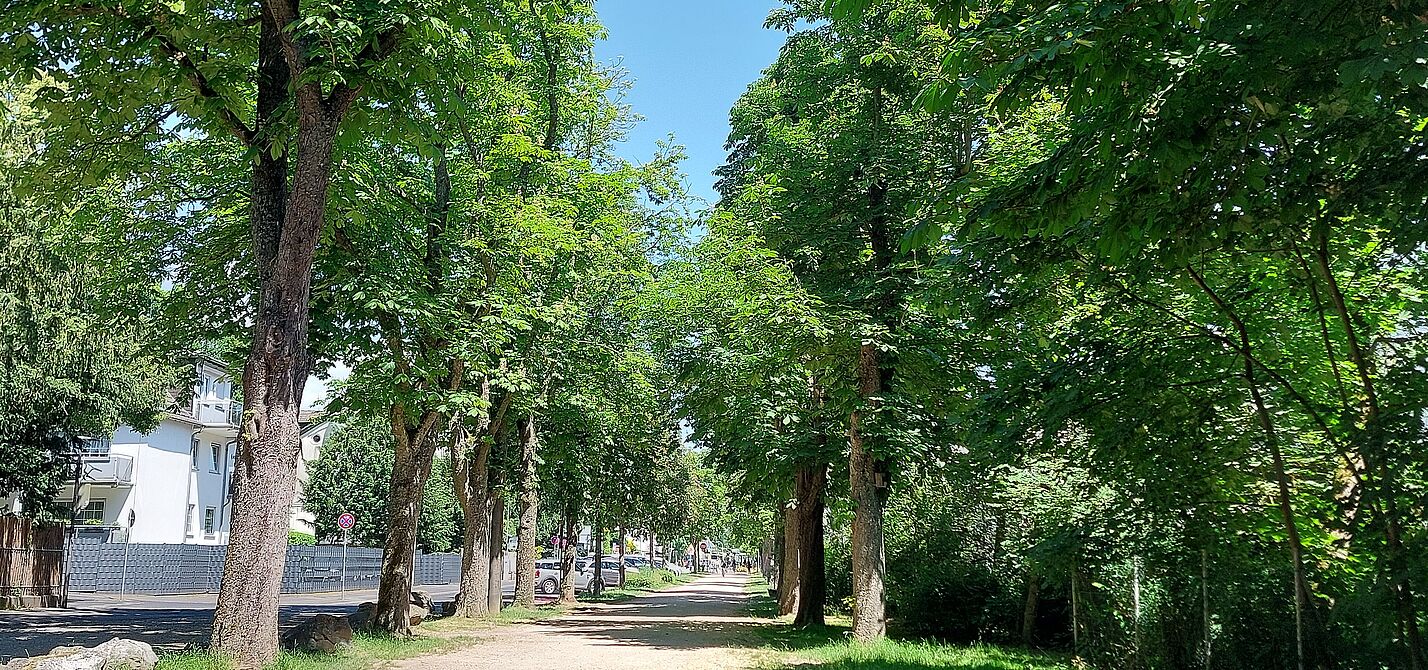 Blick in die Nassauer Straße