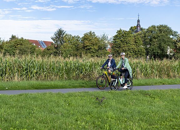2 Radfahrer vor Maisfeld 
